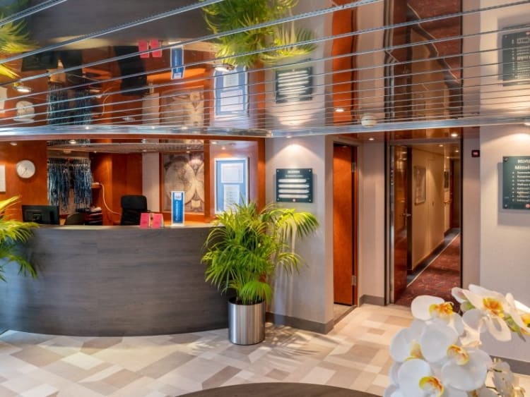 STARLING FLEET - Belvedere - Bild 2