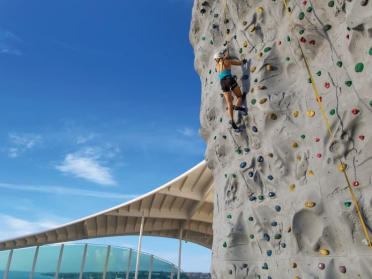 Royal Caribbean Int. - Adventure of the Seas - Image 4