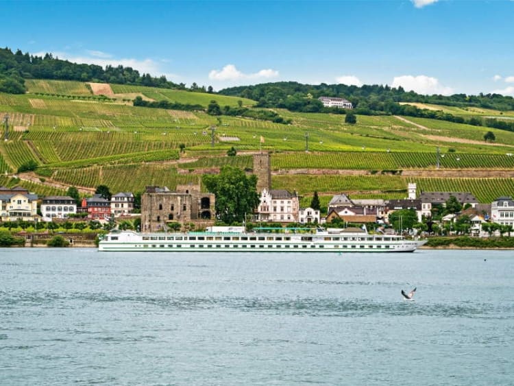 CroisiEurope - Leonardo da Vinci - Bild 1