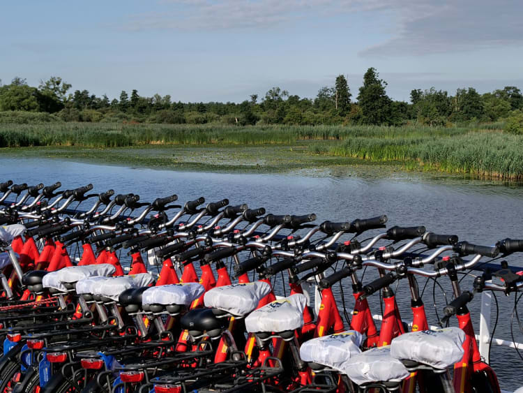 Dutch Cruise Line - Princess - Bild 5