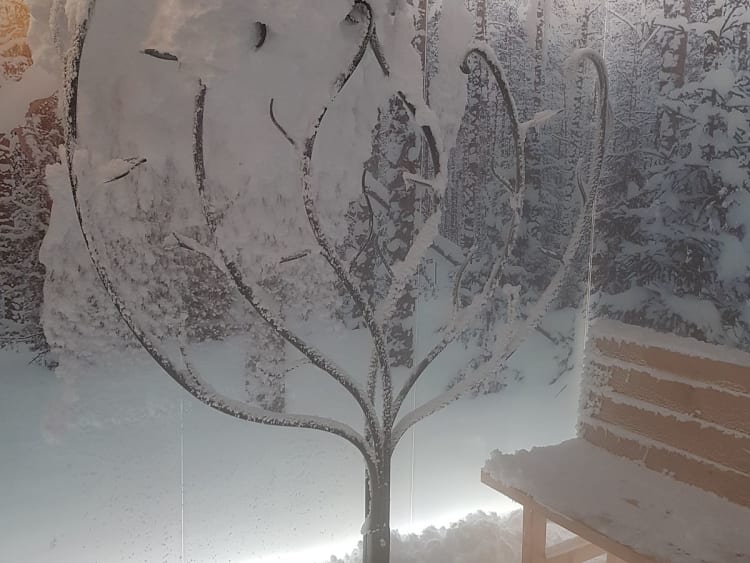 MSC Seascape: Aurea Spa sneeuwkamer