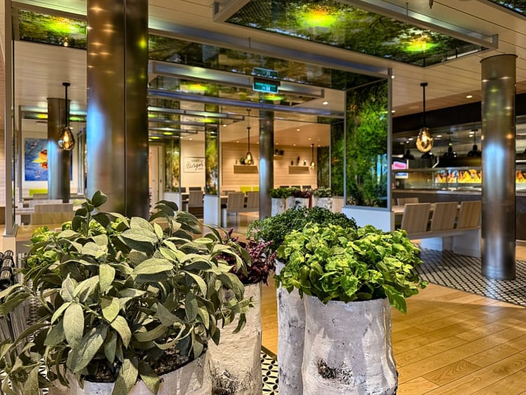 AIDAnova: Best Burger @ Sea auf Deck 7