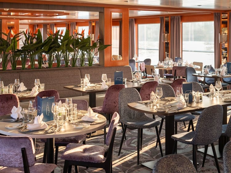 STARLING FLEET - Viktoria - Picture 2