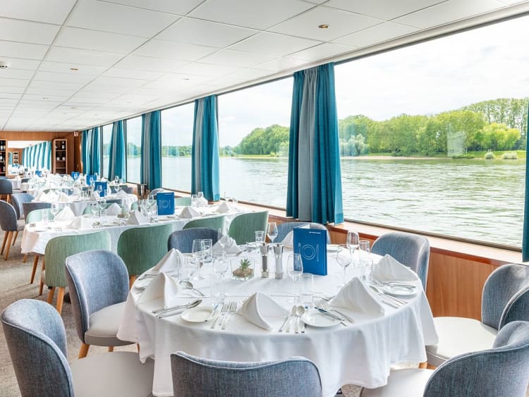 STARLING FLEET - Rhein Melodie - Picture 5