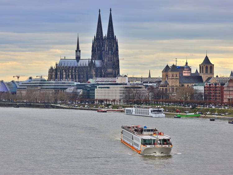 STARLING FLEET - VistaRio  - Picture 2