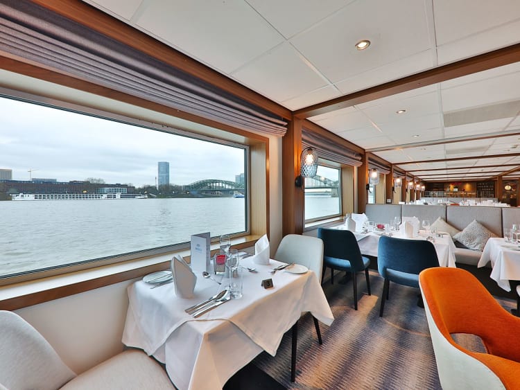 STARLING FLEET - VistaRio  - Picture 8