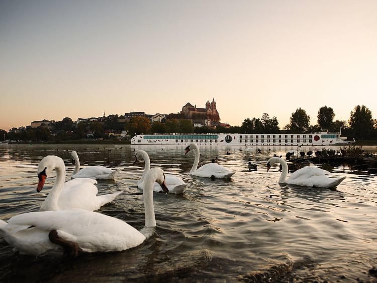 A-ROSA - A-ROSA AQUA - Bild 6