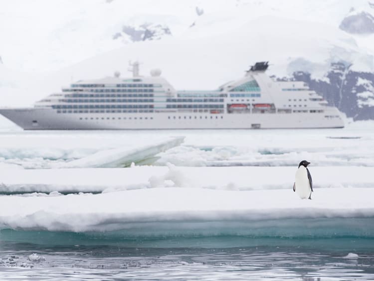 Seabourn - Seabourn Quest - Bild 16