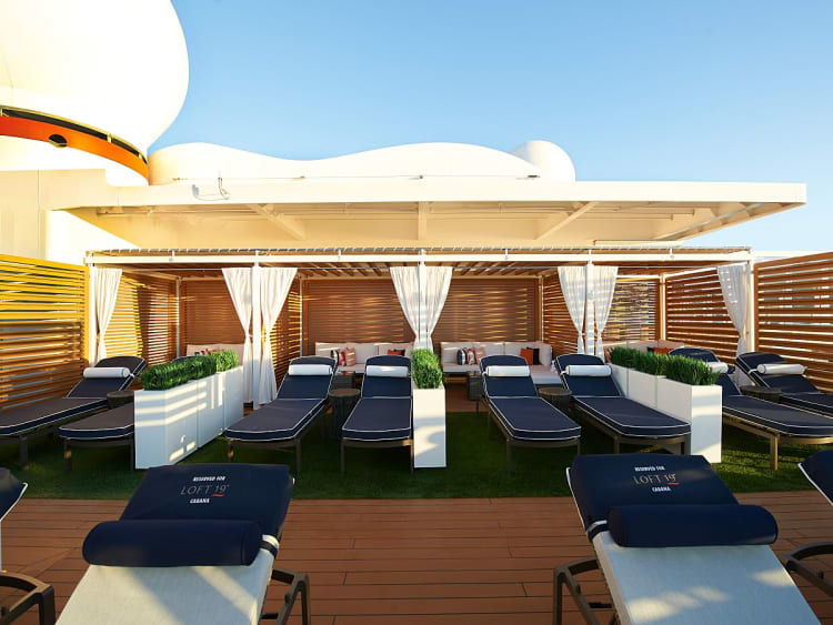 Carnival - Carnival Celebration - Foto 11