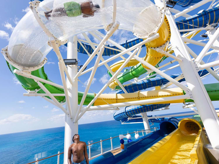 Freedom of the Seas: The Perfect Storm