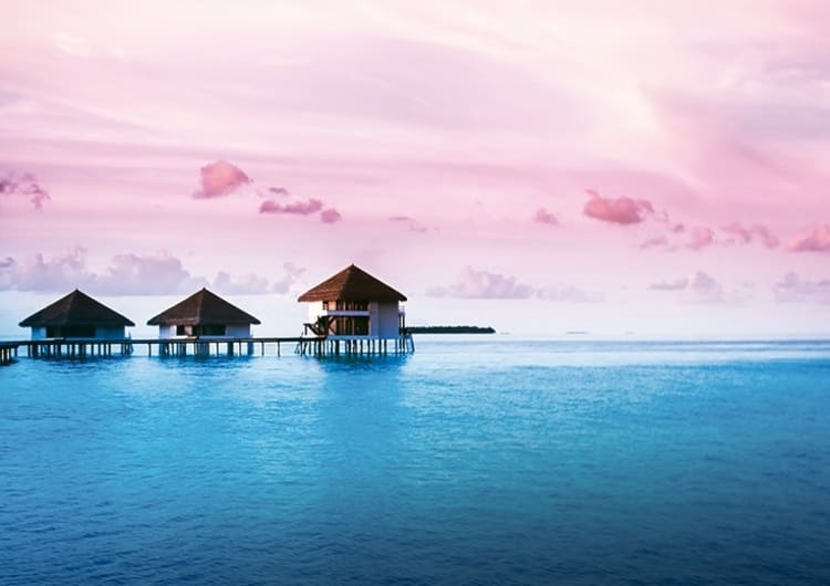 Cruise Travel service - Uw eerste cruisereis?