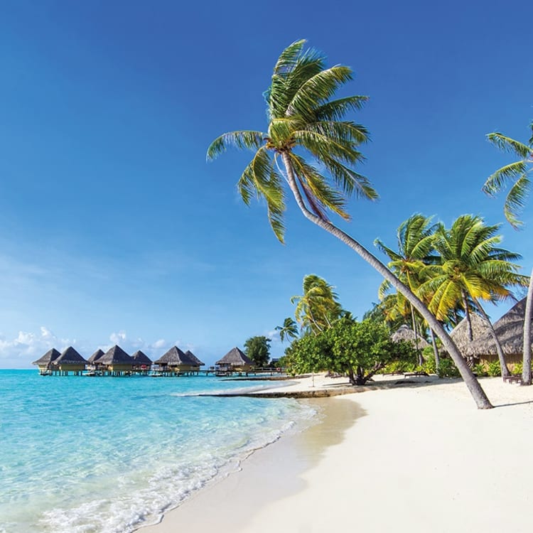 Croisi&egrave;re Offre wondercruisesfr