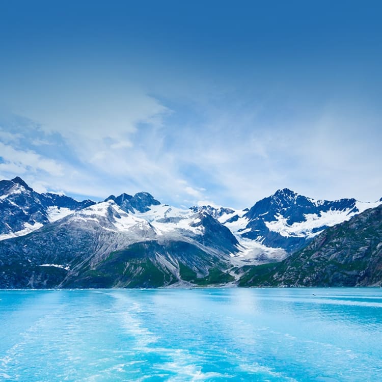 Crucero Ofertas wondercruiseses