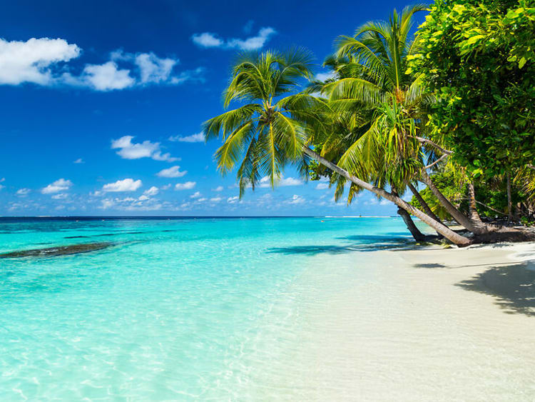 Independence of the Seas