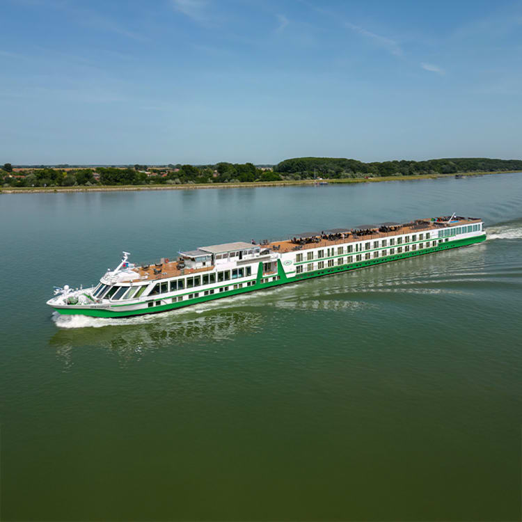 737x737_DSC_-Amethyst-1