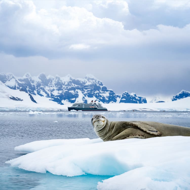 Cruise Aanbod wondercruises