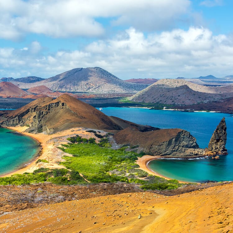 Kreuzfahrt Angebote e-hoi