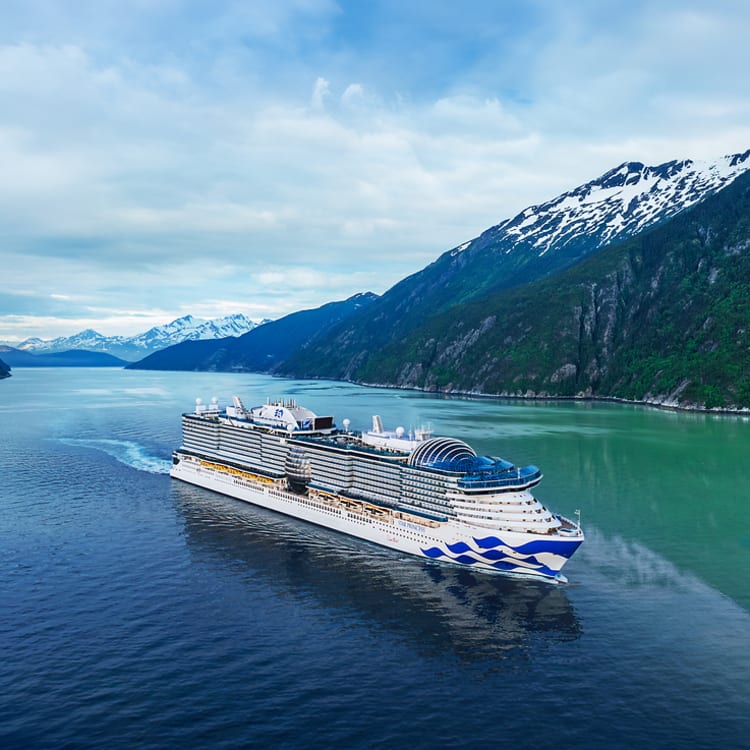 Cruise Aanbod zeetours