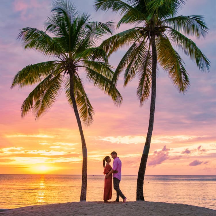 Cruise Aanbod cruisetravel