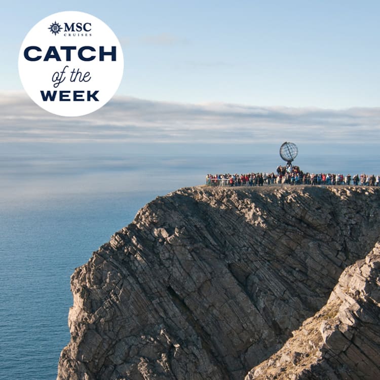 MSC Angebot der Woche