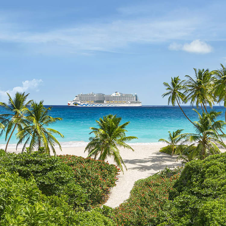 737x737_AIDA_Perla_Karibik (1