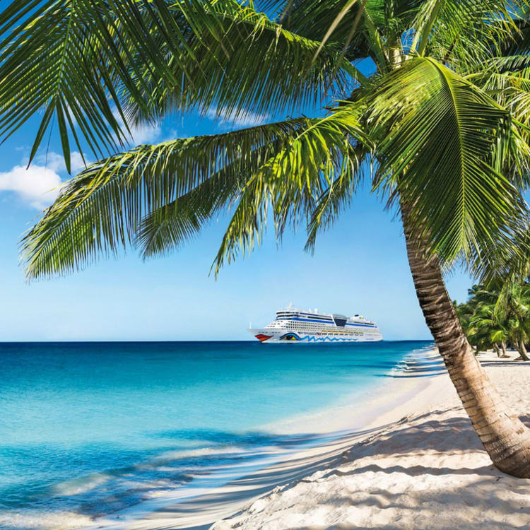 Cruise Aanbod zeetours