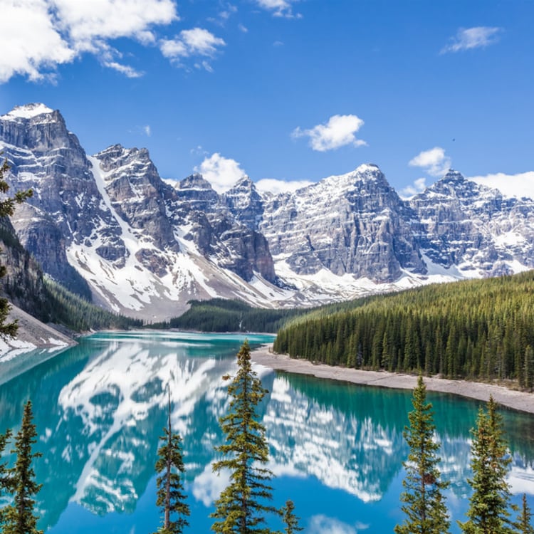 Cruise Aanbod zeetours