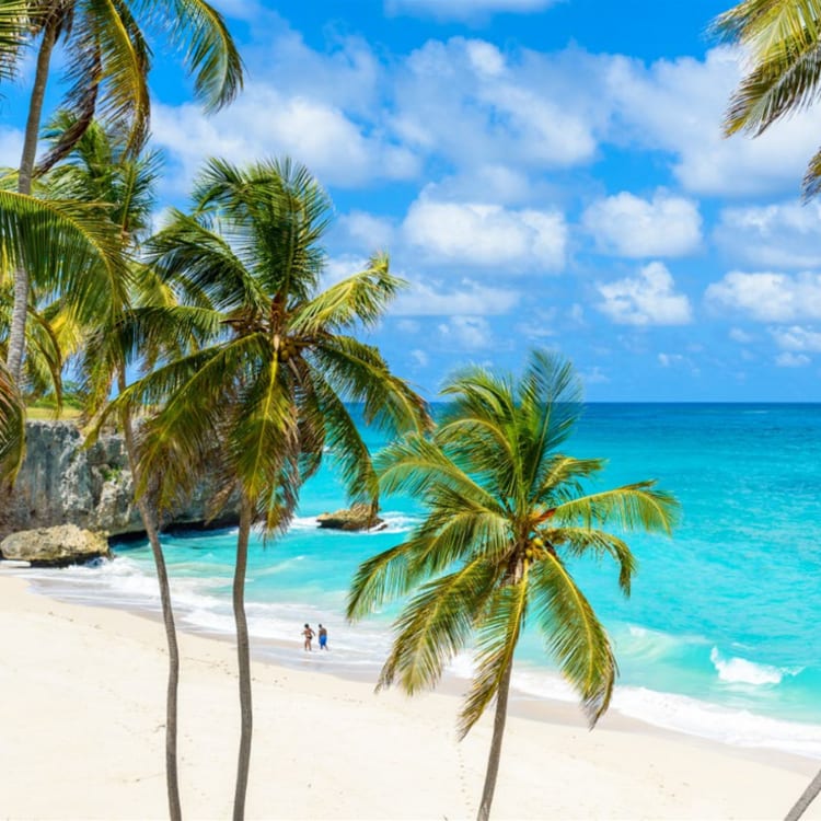 Cruise Aanbod cruisewinkel