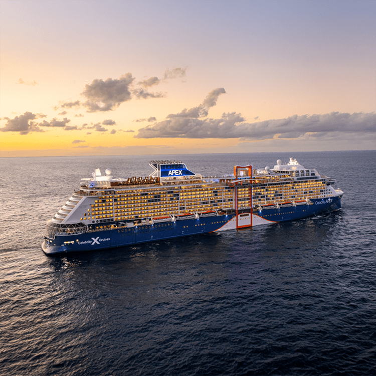 Cruise Aanbod cruisewinkel