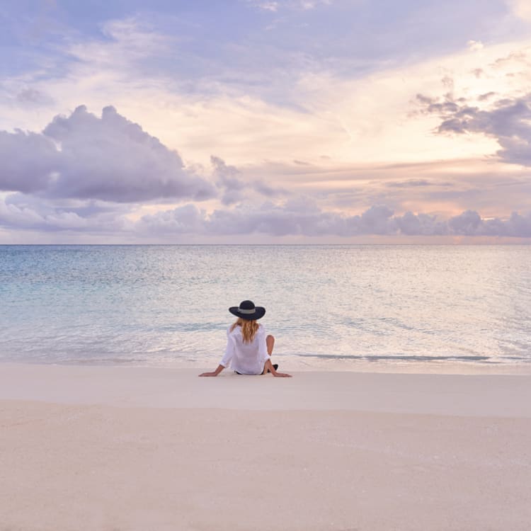 Cruise Aanbod cruisewinkel