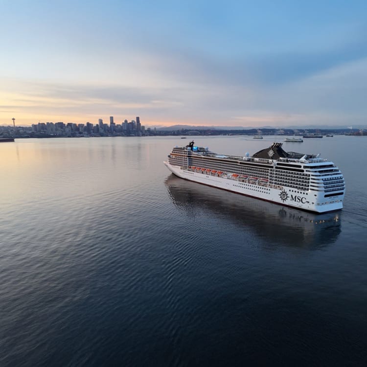 MSC Angebote