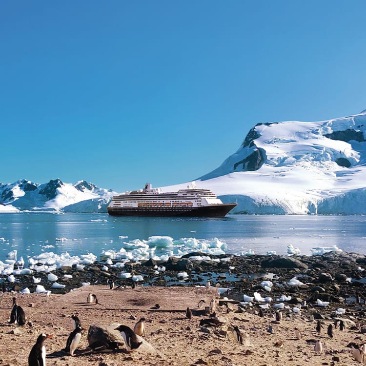 Holland America Line Angebote