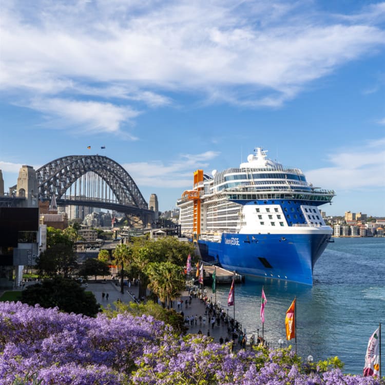 Cruise Aanbod zeetours