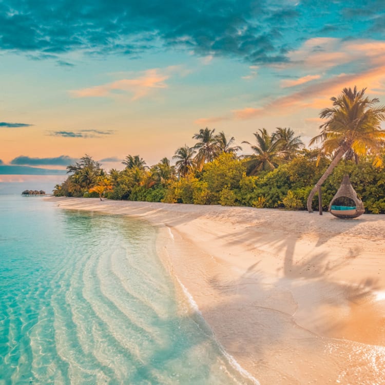Cruise Aanbod cruisetravel