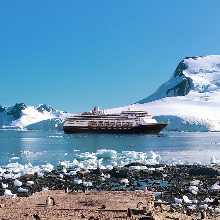 Holland America Line Angebote