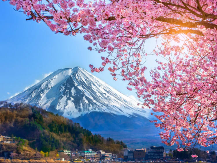 Noordam