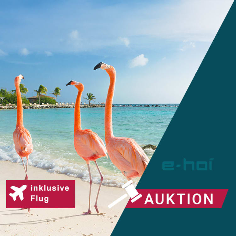 Auktion: Karibik-Kreuzfahrt ersteigern