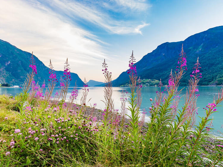 Skjolden Norwegen