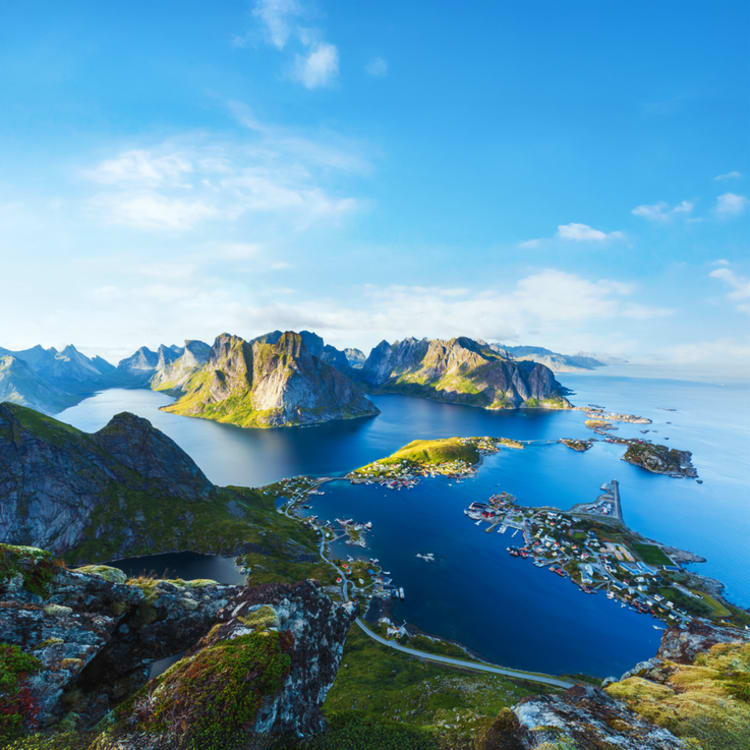 Cruise Aanbod cruisetravel
