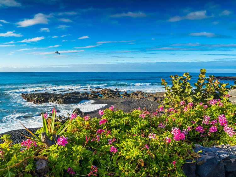 Teneriffa Tenerife