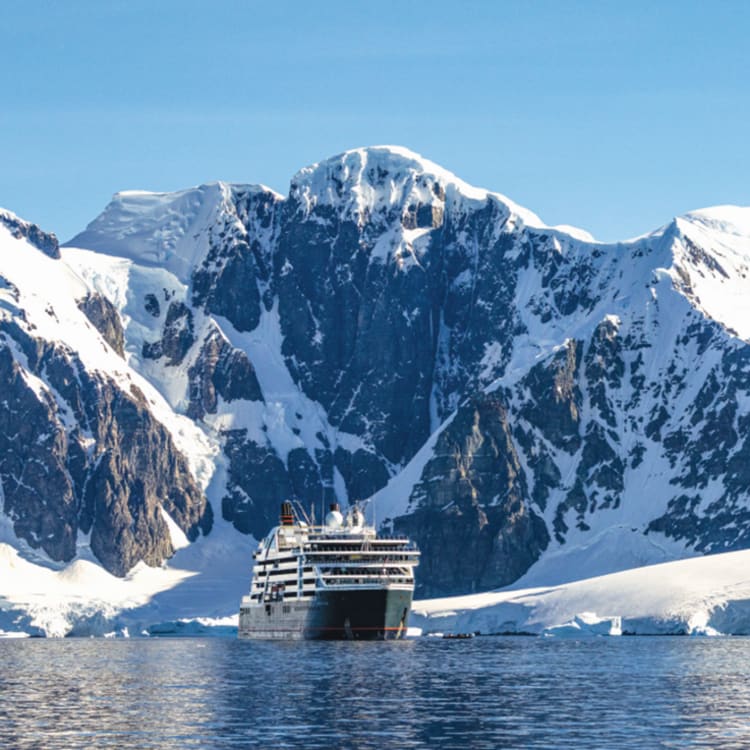 Cruise Aanbod zeetours
