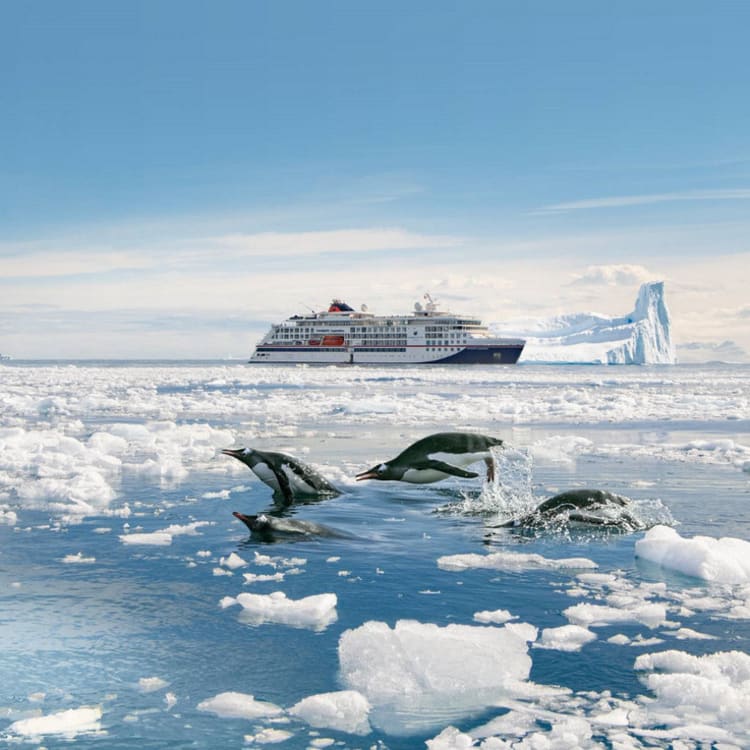 Cruise Aanbod zeetours