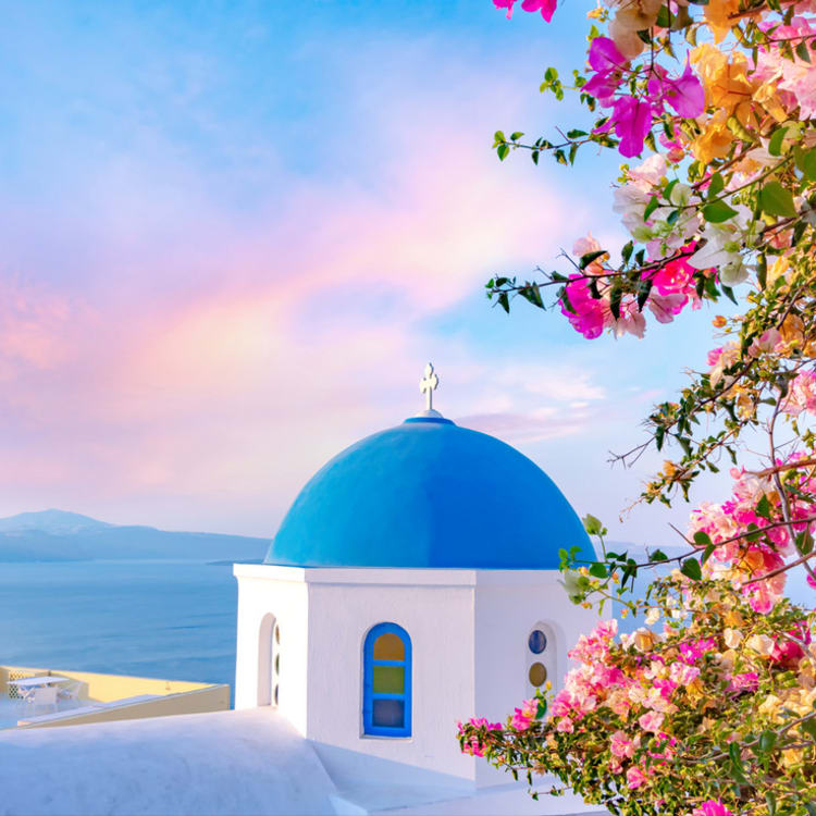 Cruise Aanbod cruisetravel