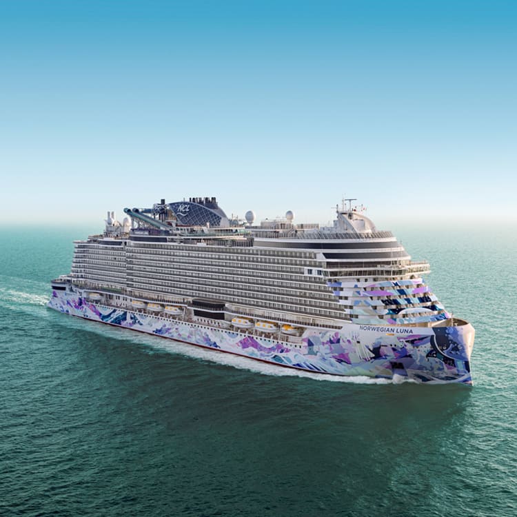 NCL- Flash-Sale