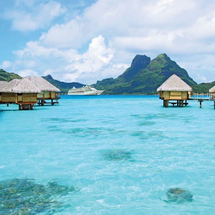 Cruise Aanbod zeetours