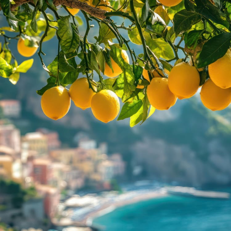 Cruise Aanbod cruisetravel