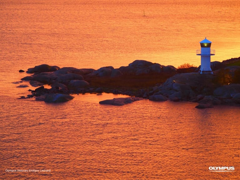 DAS WAR STARS DEL MAR 2025