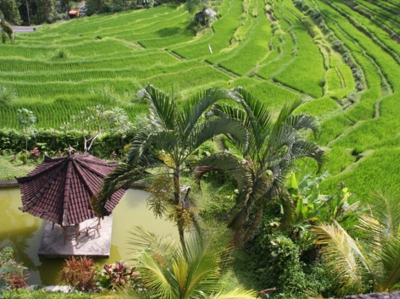 Bali (Indonesien) - Bild 1