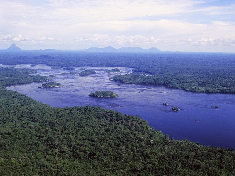 Amazonas (Brasilien) - Bild 1
