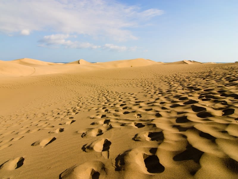 Gran Canaria (Canary Islands, Spain) - Picture 1